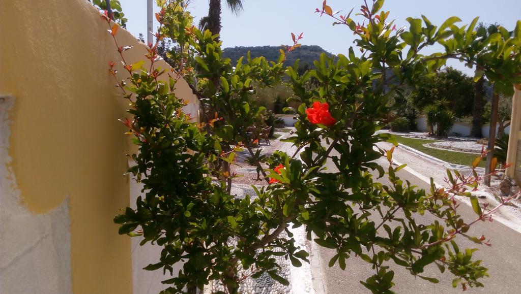 公寓 Mosaic Gardens